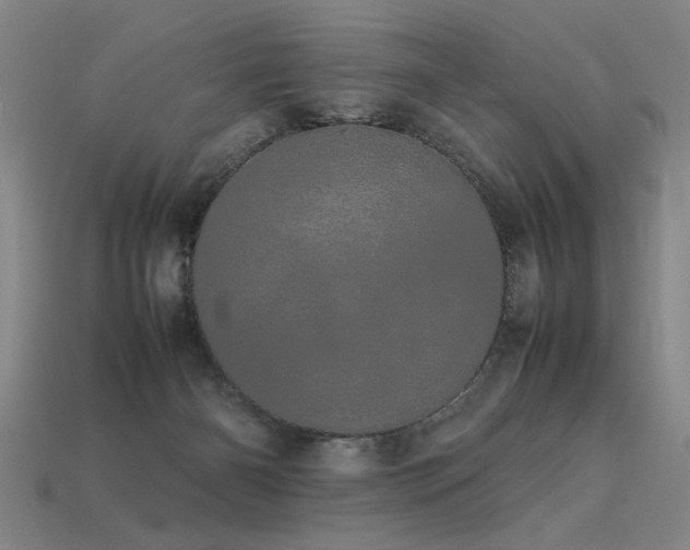 X0000113620126200909181447