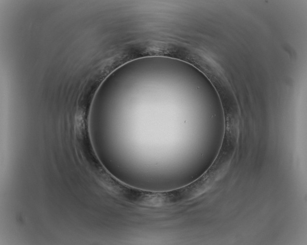 X0000113620127200909181447