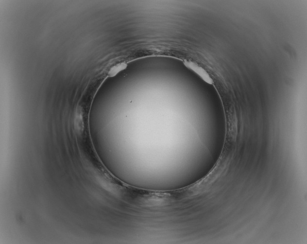 X0000113620128200909181447