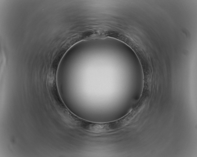 X0000113620129200909181447