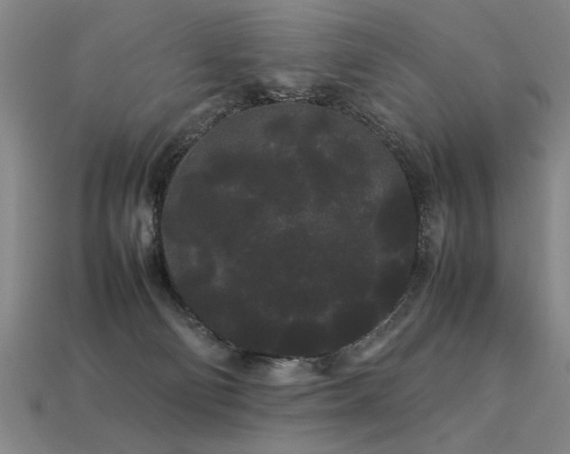 X0000113620130200909181447