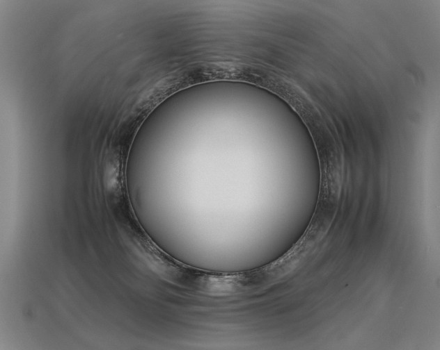 X0000113620134200909181447