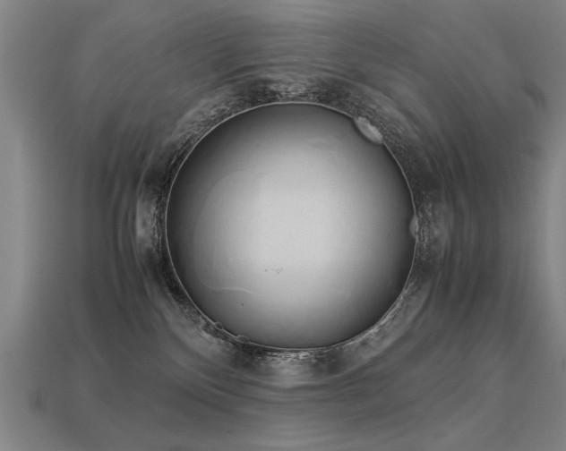 X0000113620136200909181447