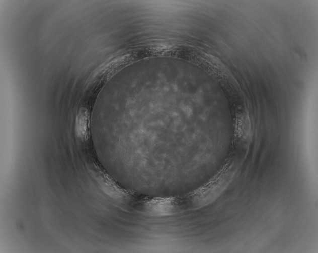 X0000113620138200909181447