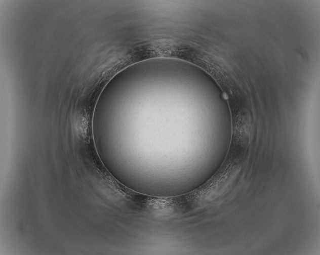 X0000113620139200909181447