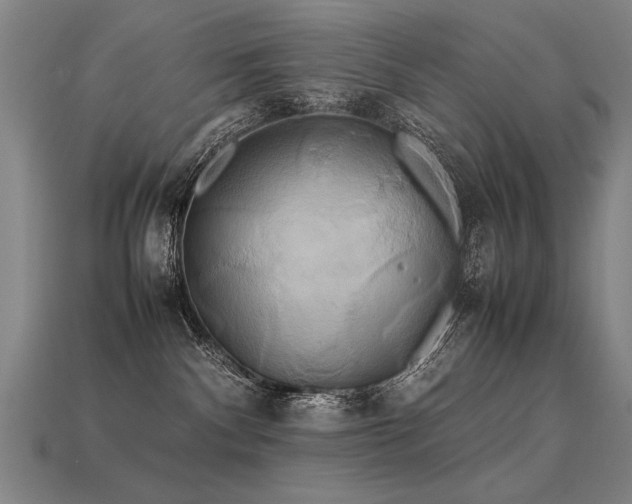 X0000113620140200909181447