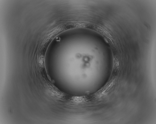 X0000113620141200909181447