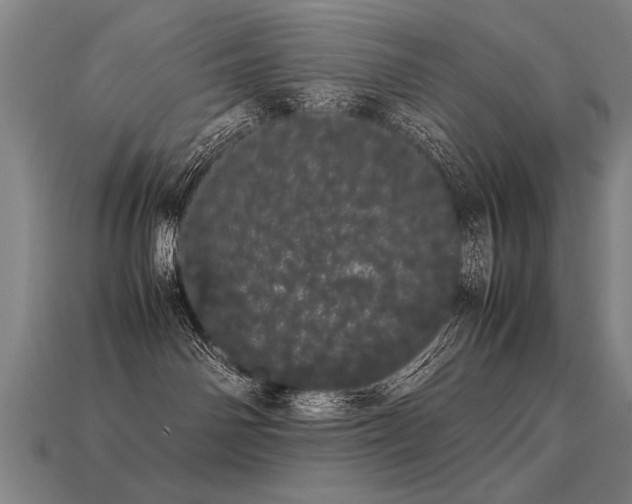 X0000113620142200909181447