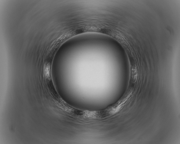 X0000113620143200909181447