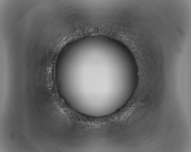 X0000113620144200909181447