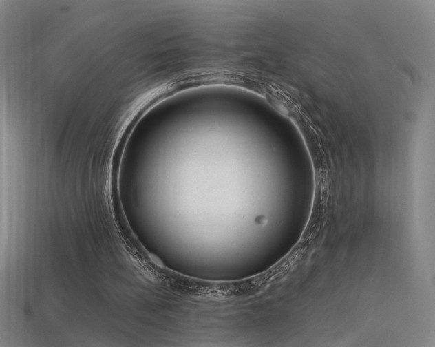 X0000113620148200909181447