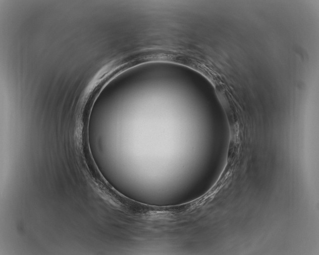 X0000113620150200909181447