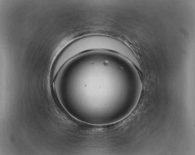 X0000113620152200909181447