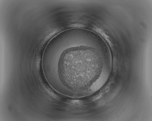 X0000113620153200909181447