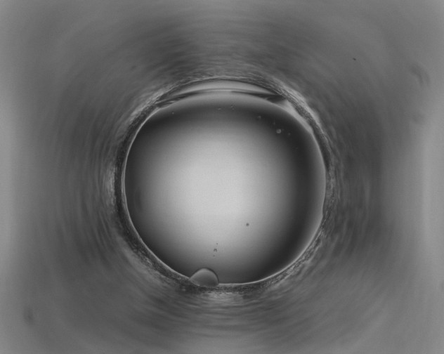 X0000113620154200909181447