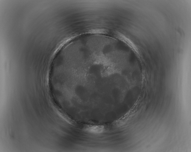 X0000113620155200909181447