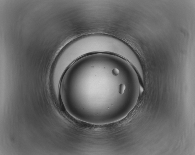 X0000113620156200909181447