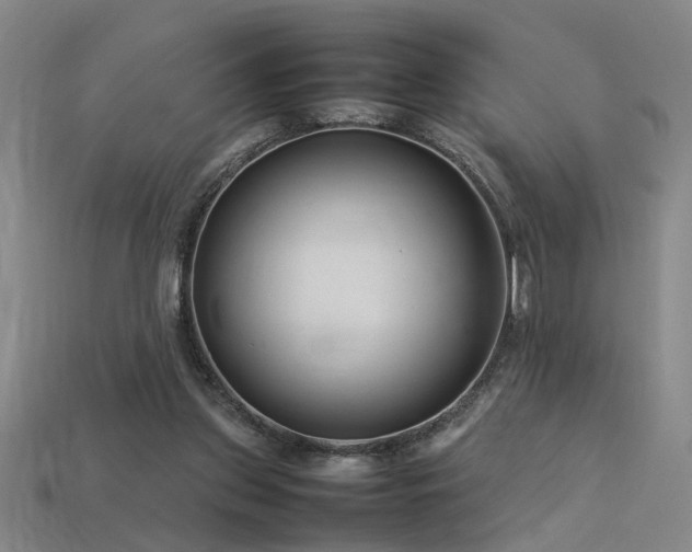 X0000113620157200909181447