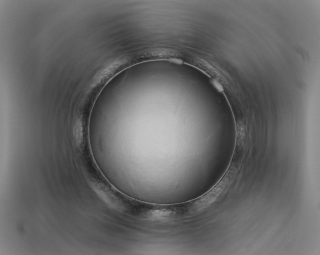 X0000113620158200909181447