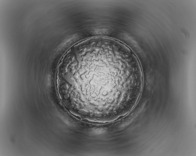 X0000113620161200909181447