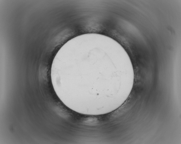 X0000113620162200909181447