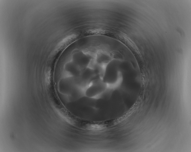 X0000113620163200909181447