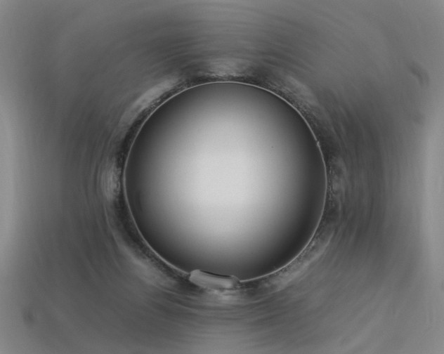 X0000113620164200909181447