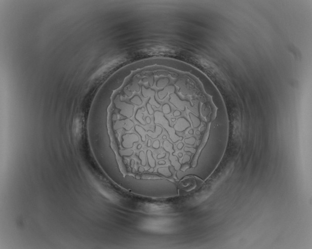 X0000113620165200909181447