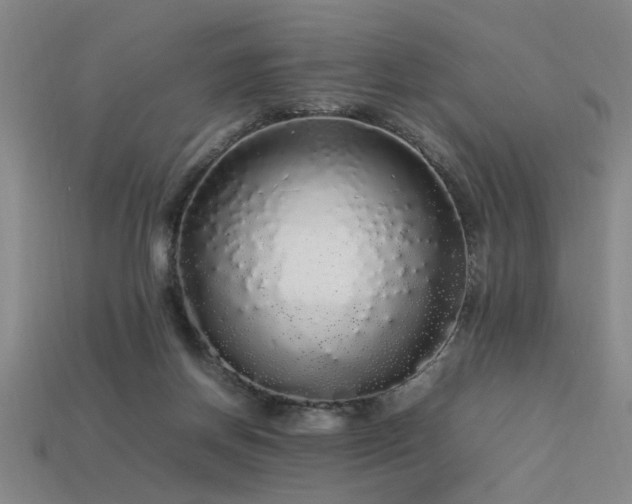 X0000113620166200909181447