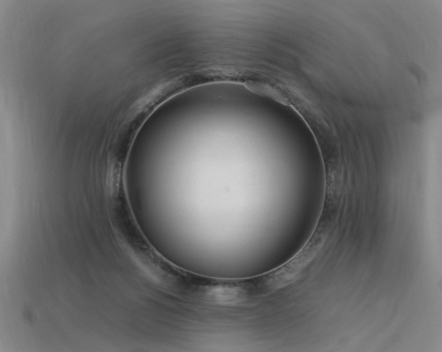 X0000113620168200909181447