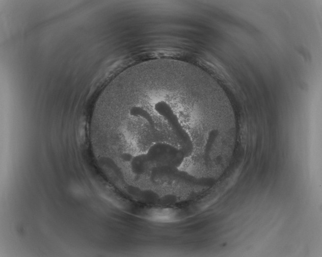 X0000113620169200909181447