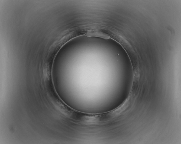 X0000113620170200909181447