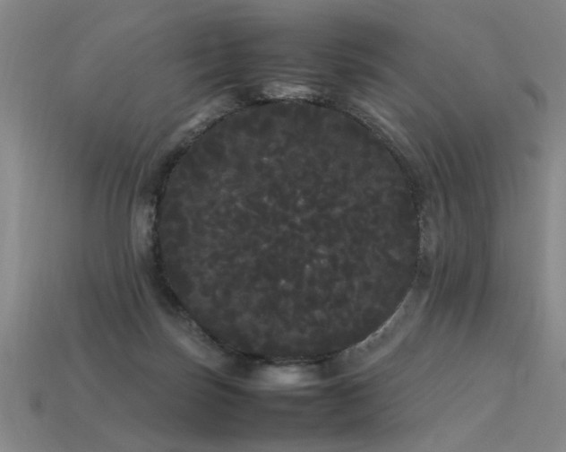 X0000113620171200909181447