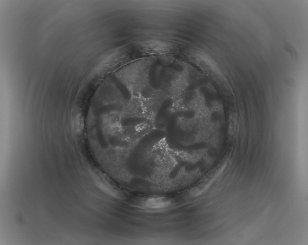 X0000113620173200909181447