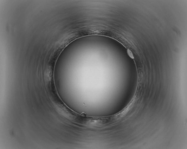 X0000113620174200909181447