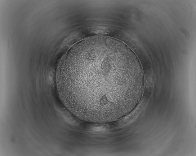 X0000113620175200909181447