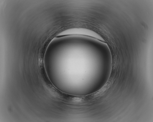 X0000113620176200909181447