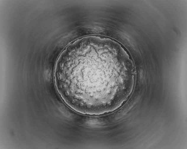 X0000113620177200909181447