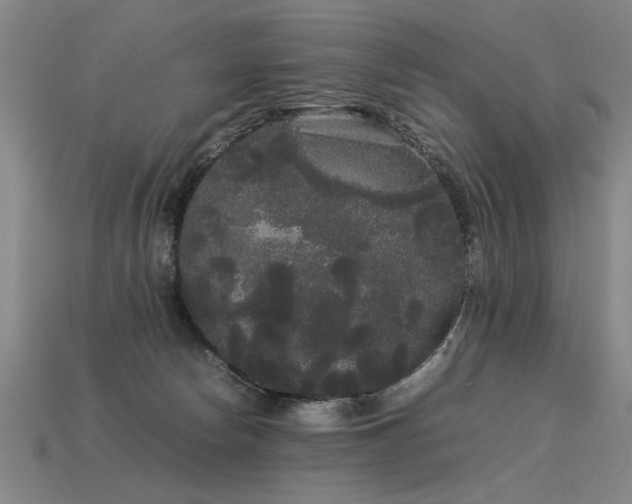 X0000113620178200909181447