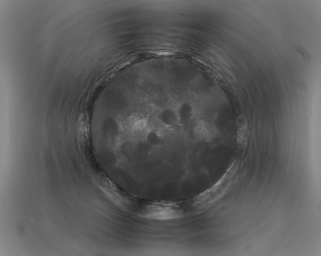 X0000113620179200909181447