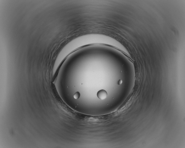 X0000113620180200909181447