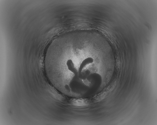 X0000113620181200909181447