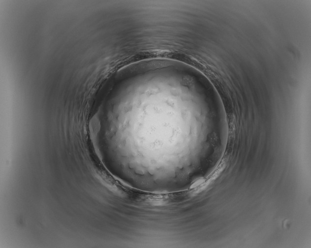 X0000113620182200909181447