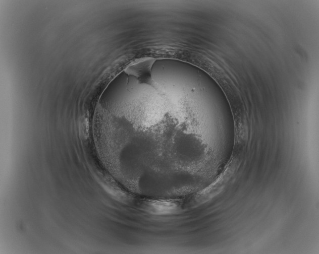 X0000113620183200909181447