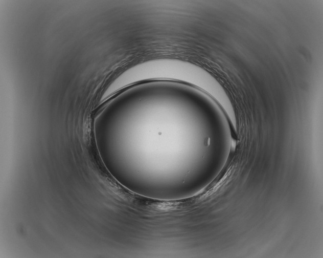 X0000113620184200909181447