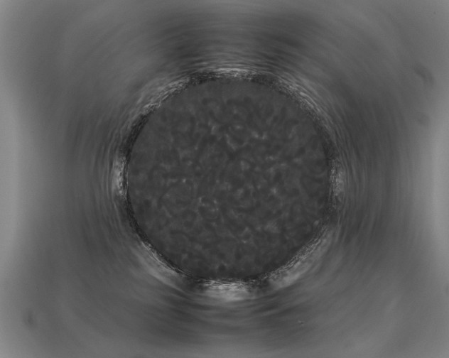 X0000113620185200909181447