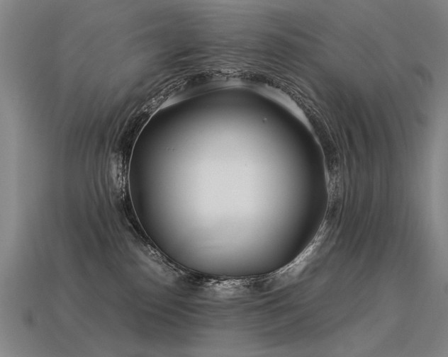 X0000113620186200909181447