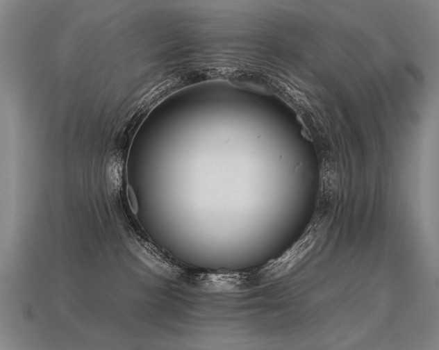 X0000113620188200909181447