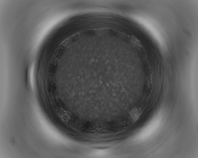 X0000113620189200909181447