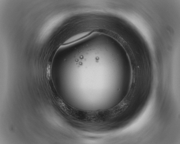 X0000113620190200909181447